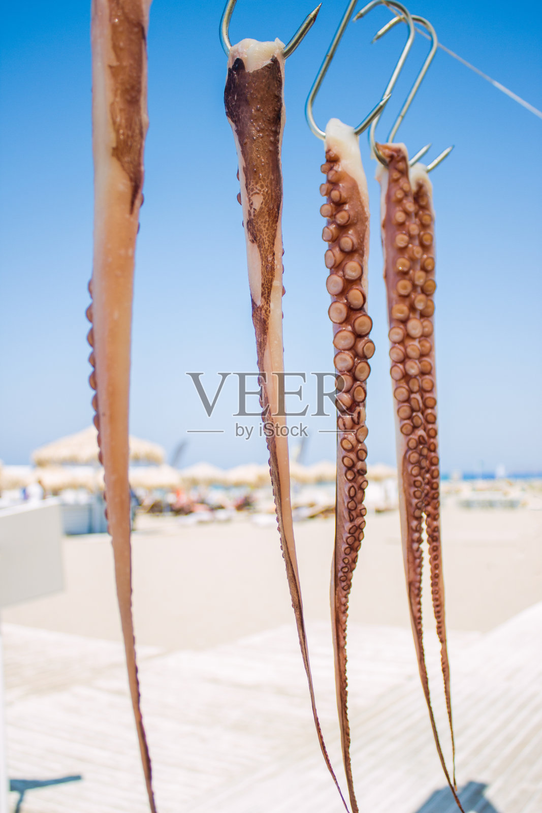 几只新鲜的章鱼在两棵树之间的绳子上晒干，背景是沙滩和日光浴床上的人们以及希腊的地中海。希腊餐馆。照片摄影图片