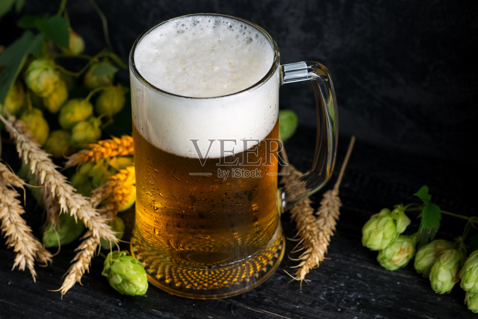 一杯淡啤酒在黑色背景与绿色啤酒花和小麦穗拷贝空间照片摄影图片