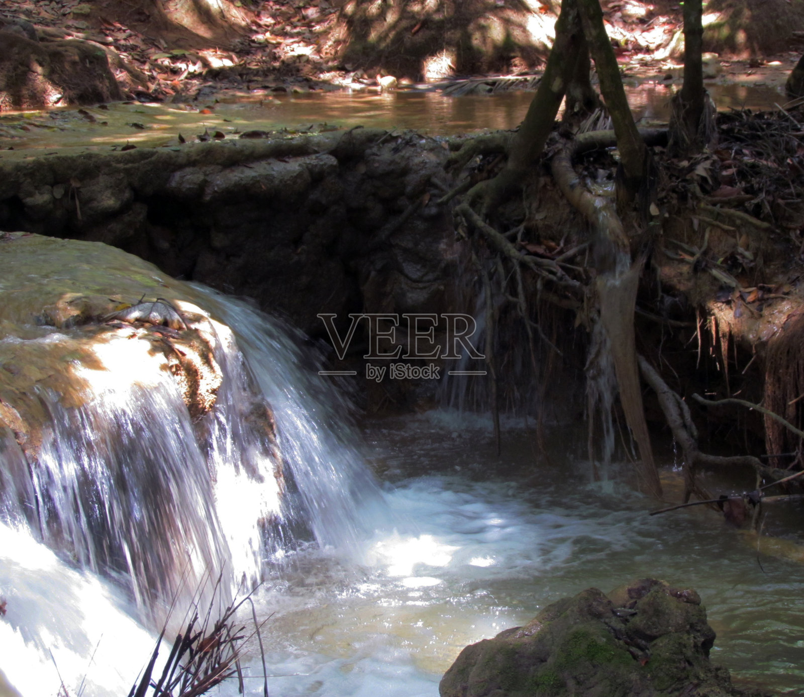 北卡罗莱纳游泳池派对照片摄影图片
