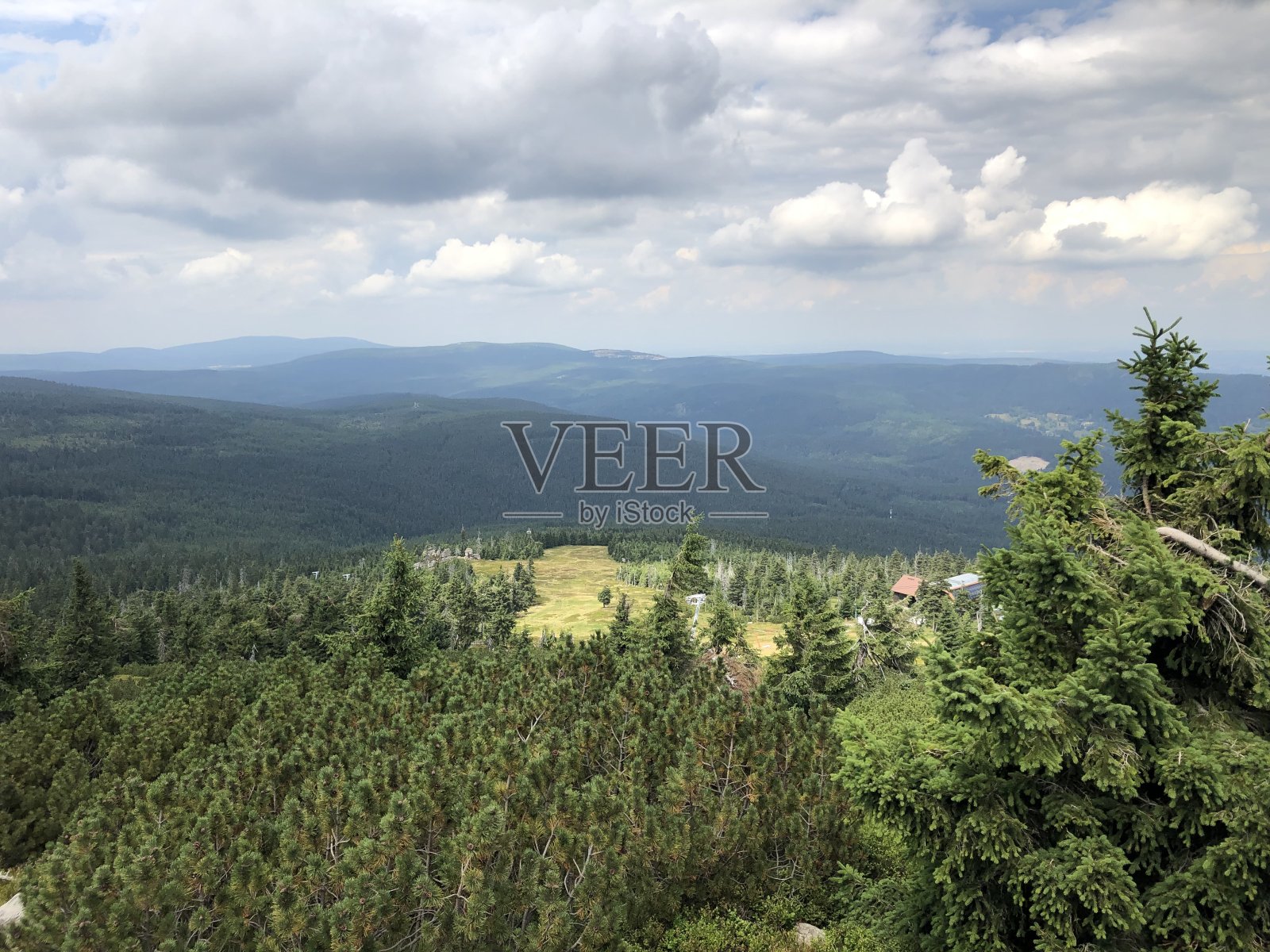 和博德牧羊犬一起爬山照片摄影图片