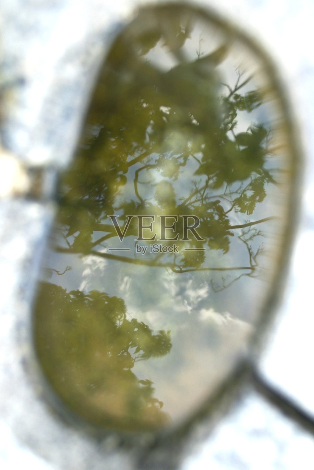 公园的小景观照片摄影图片