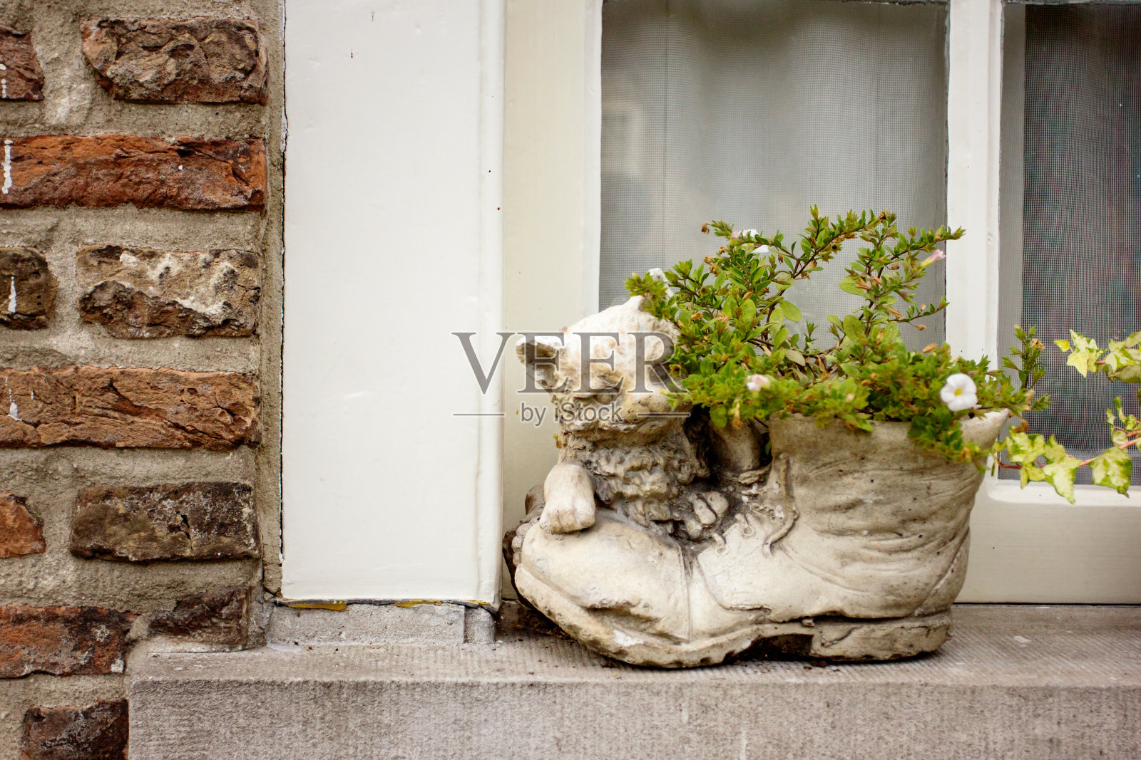 有花盆的舒适窗户照片摄影图片