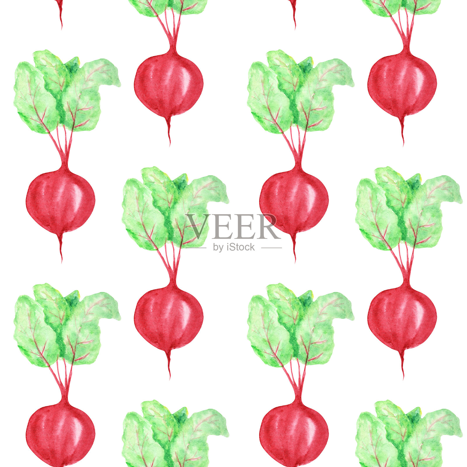 无缝图案水彩画收集红色蔬菜、甜菜。卡通风格在白色背景上手绘新鲜的素食。秋天织物纹理插画图片素材