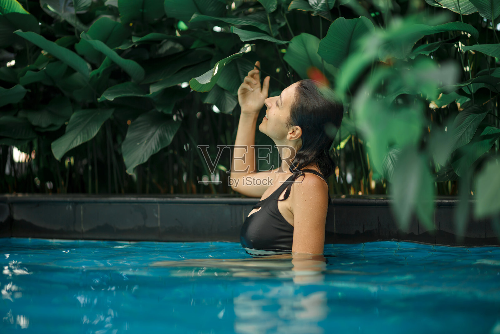 年轻的白人妇女在游泳池与绿色植物的肖像照片摄影图片