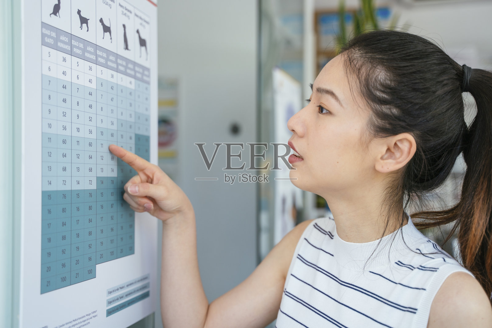 一位中国妇女的宠物主人关心她的猫和狗的健康饮食。照片摄影图片