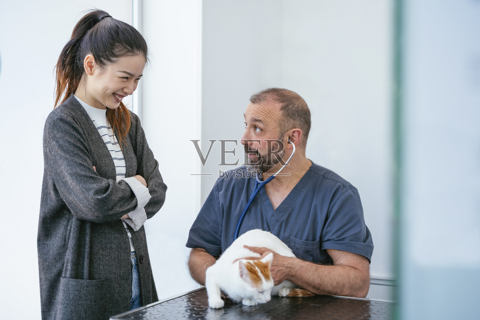 中国妇女与受伤的猫在急救兽医中心。照片摄影图片