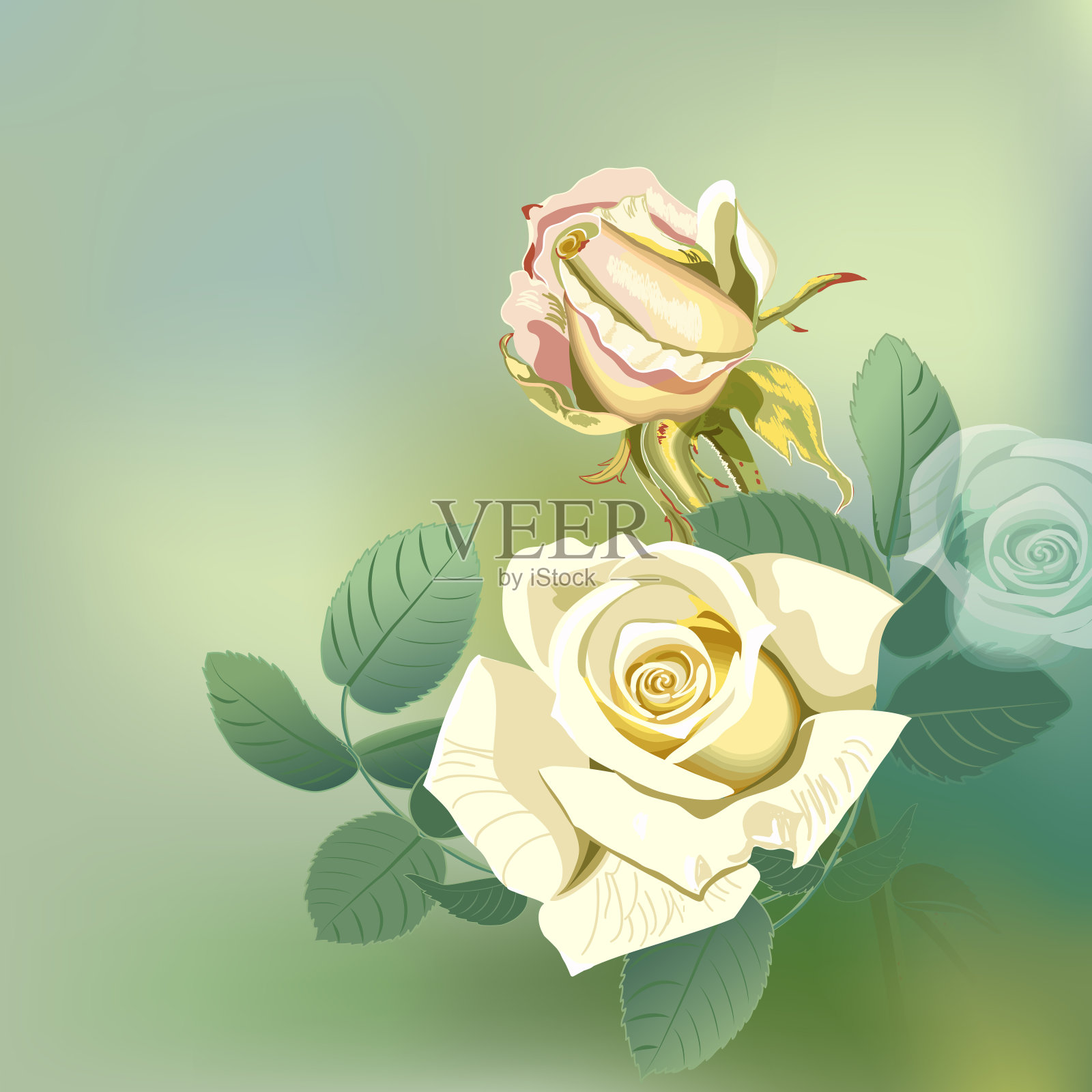 贺卡与一束美丽的黄玫瑰花模糊的背景，接近。插画图片素材