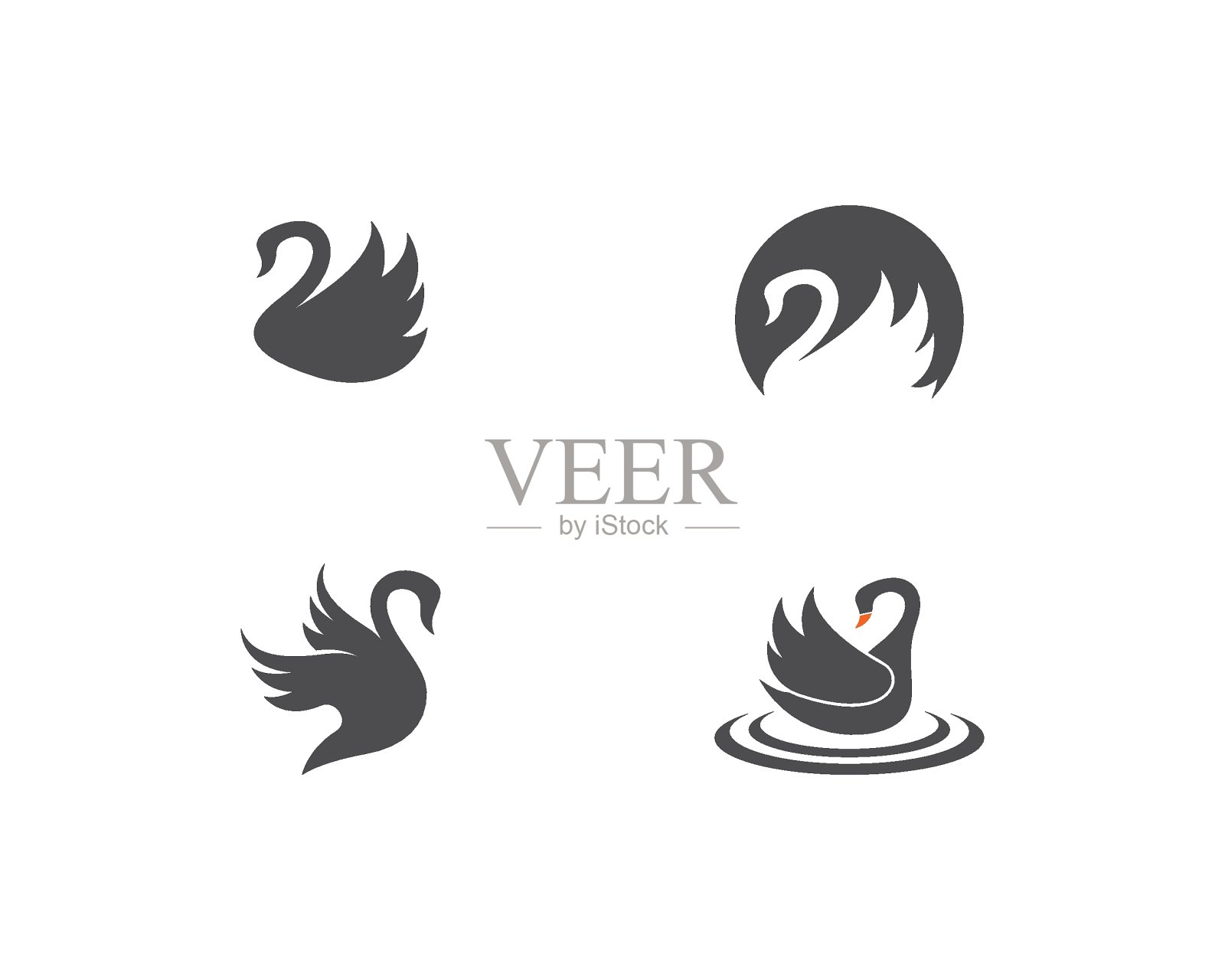 天鹅模板设计元素图片