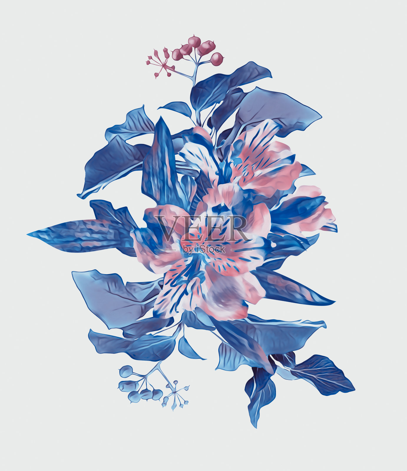 热带花束，花卉插图。插画图片素材