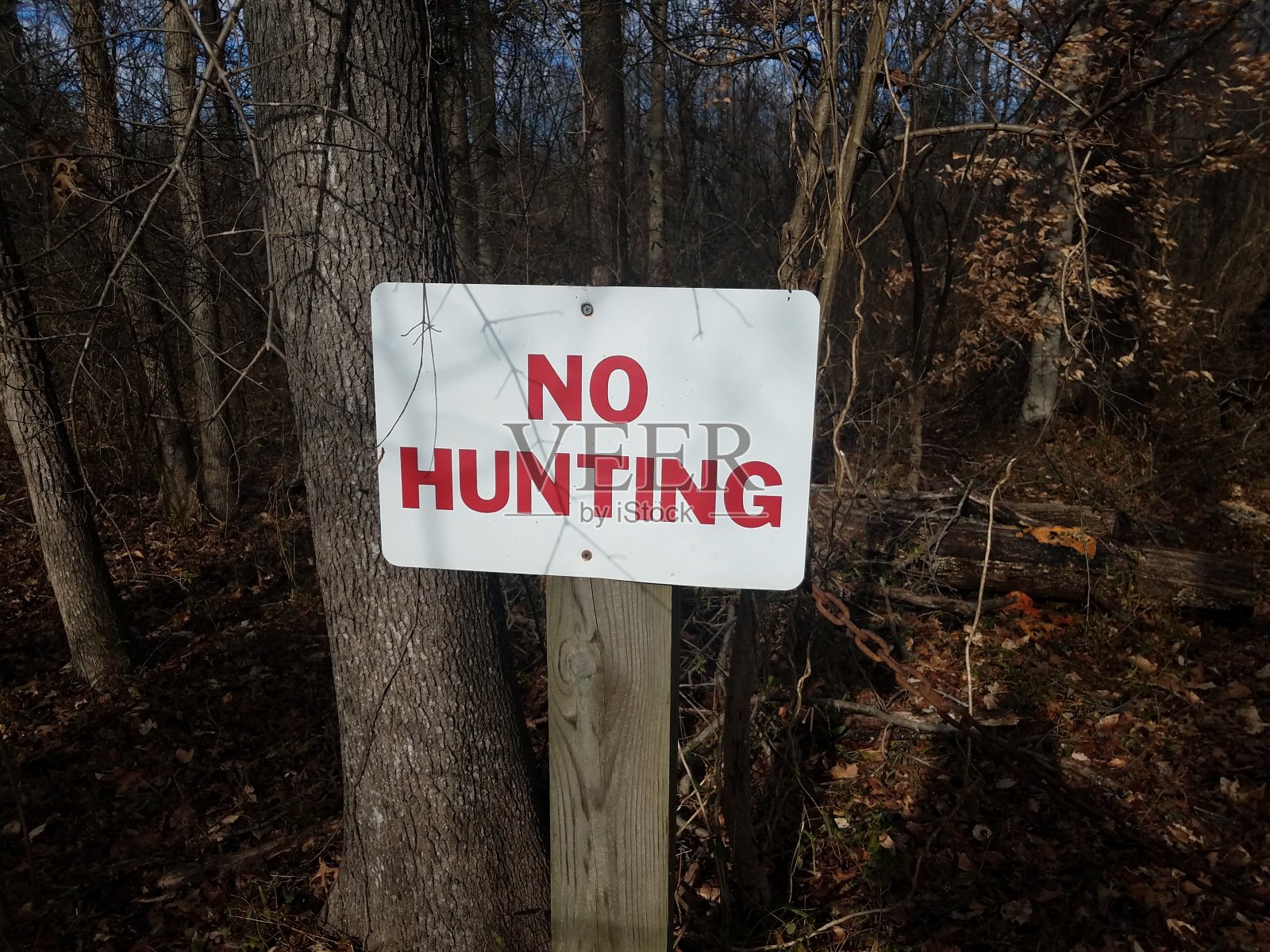 白色和红色的禁止狩猎标志和树木照片摄影图片