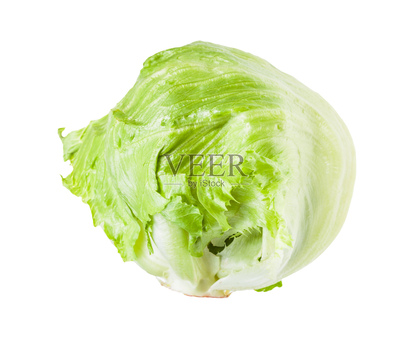 卷心莴苣的脆头孤立在白色上照片摄影图片