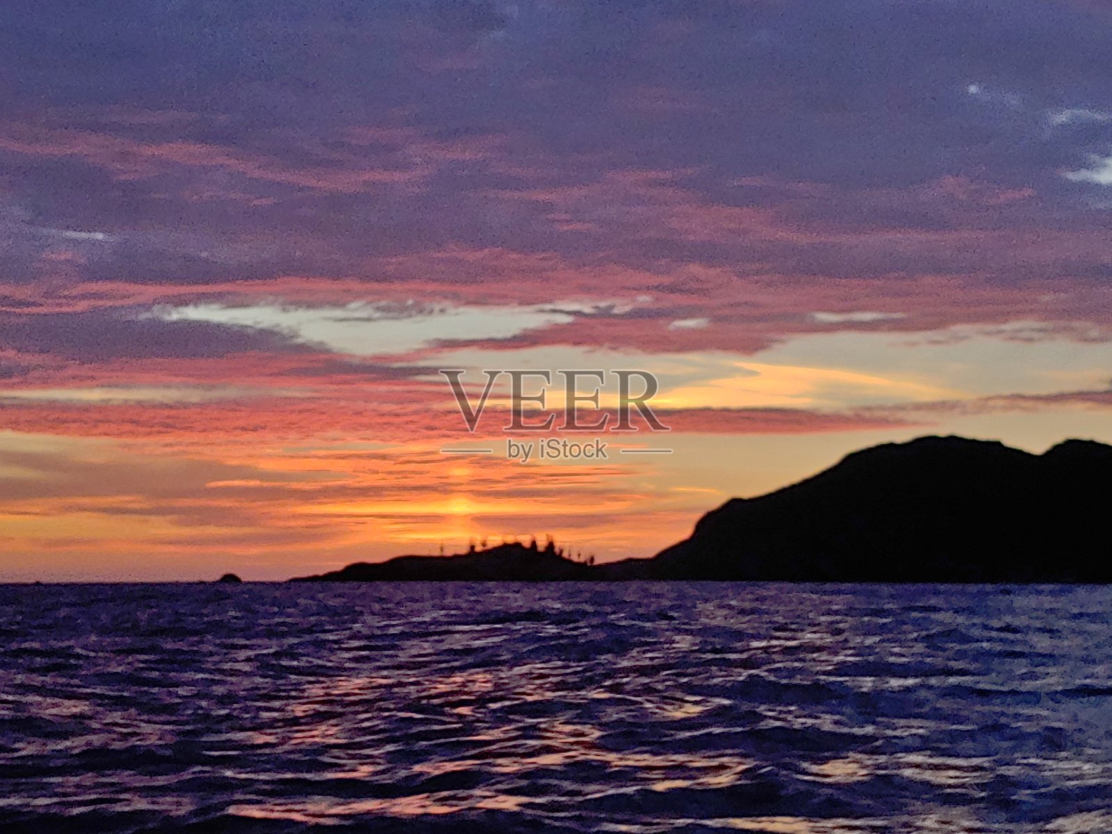 日落仙人掌照片摄影图片