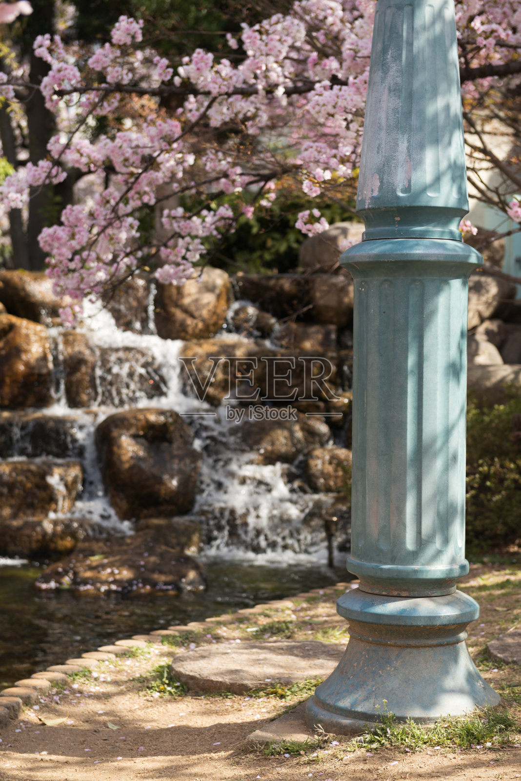 春天的公园照片摄影图片