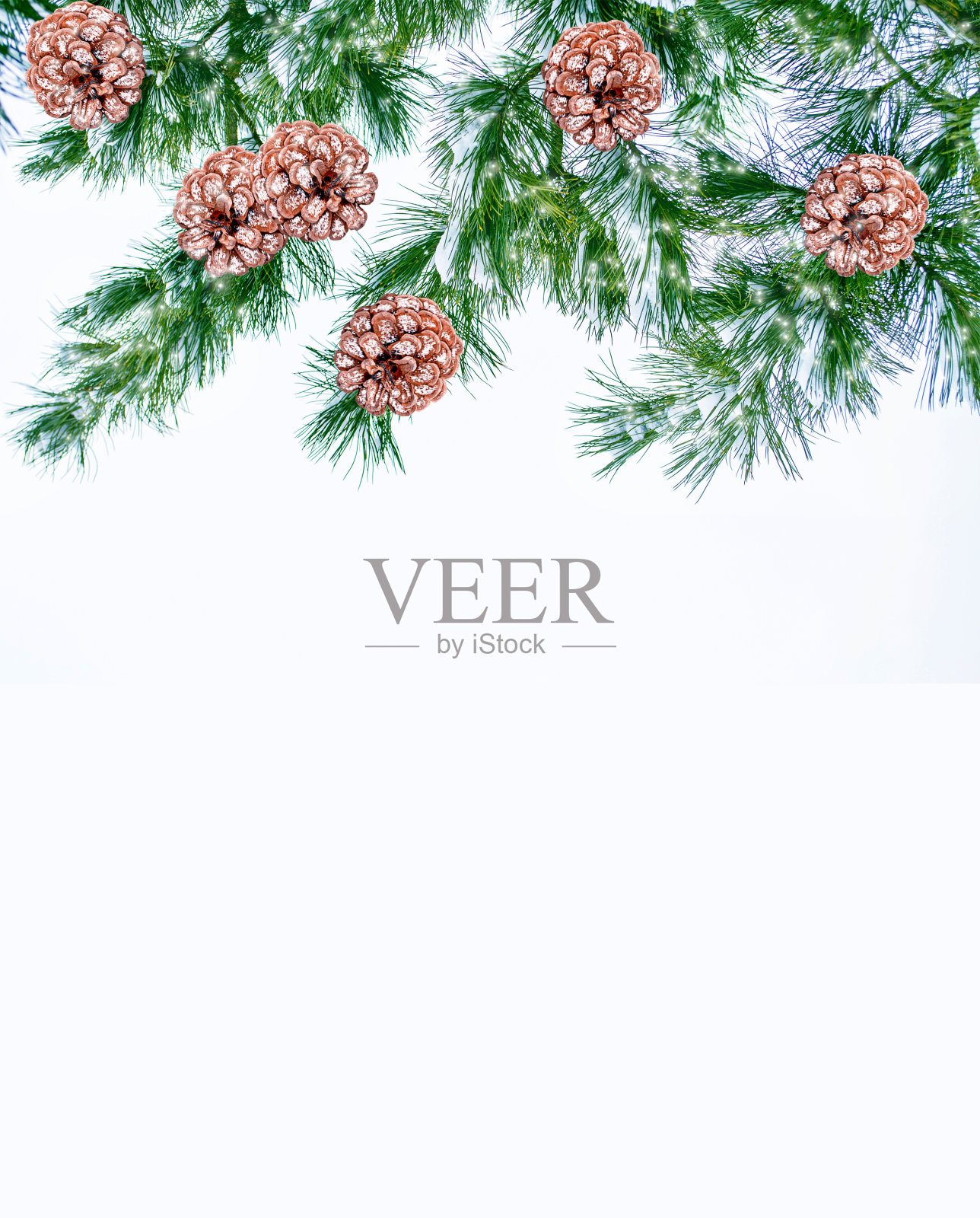 冰雪覆盖的树木。照片摄影图片