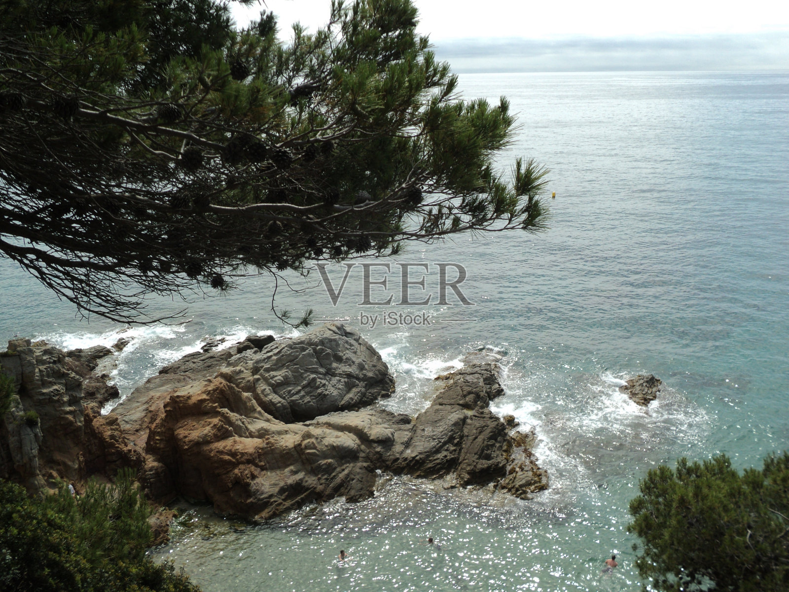 大海，岩石和树木。照片摄影图片