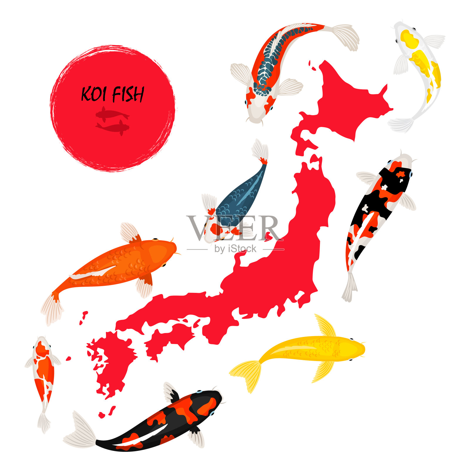 锦鲤和日本地图插画图片素材