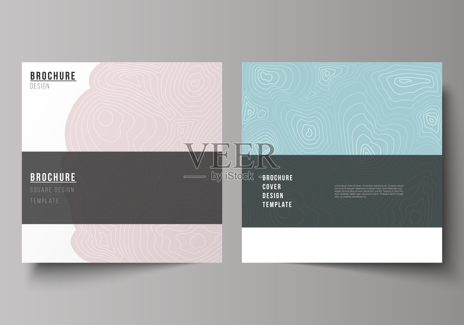 最小矢量插图可编辑布局的两方格式涵盖设计模板的小册子，传单，杂志。等高线地形图，抽象单色背景。插画图片素材