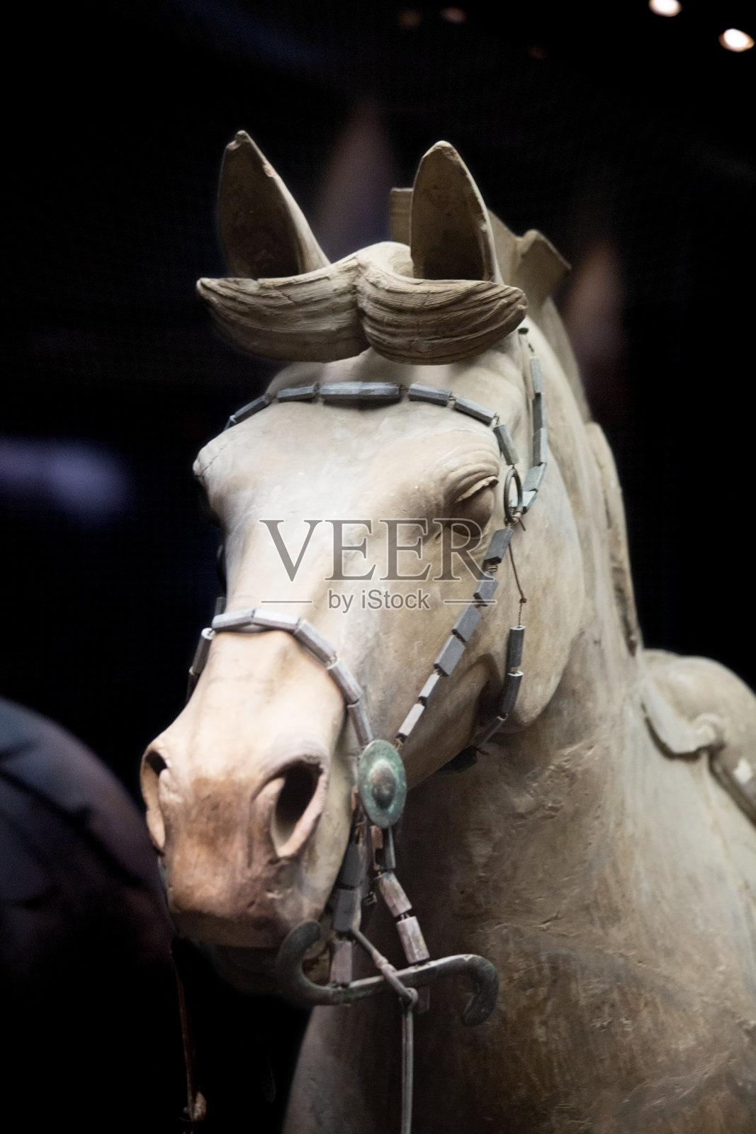 兵马俑照片摄影图片