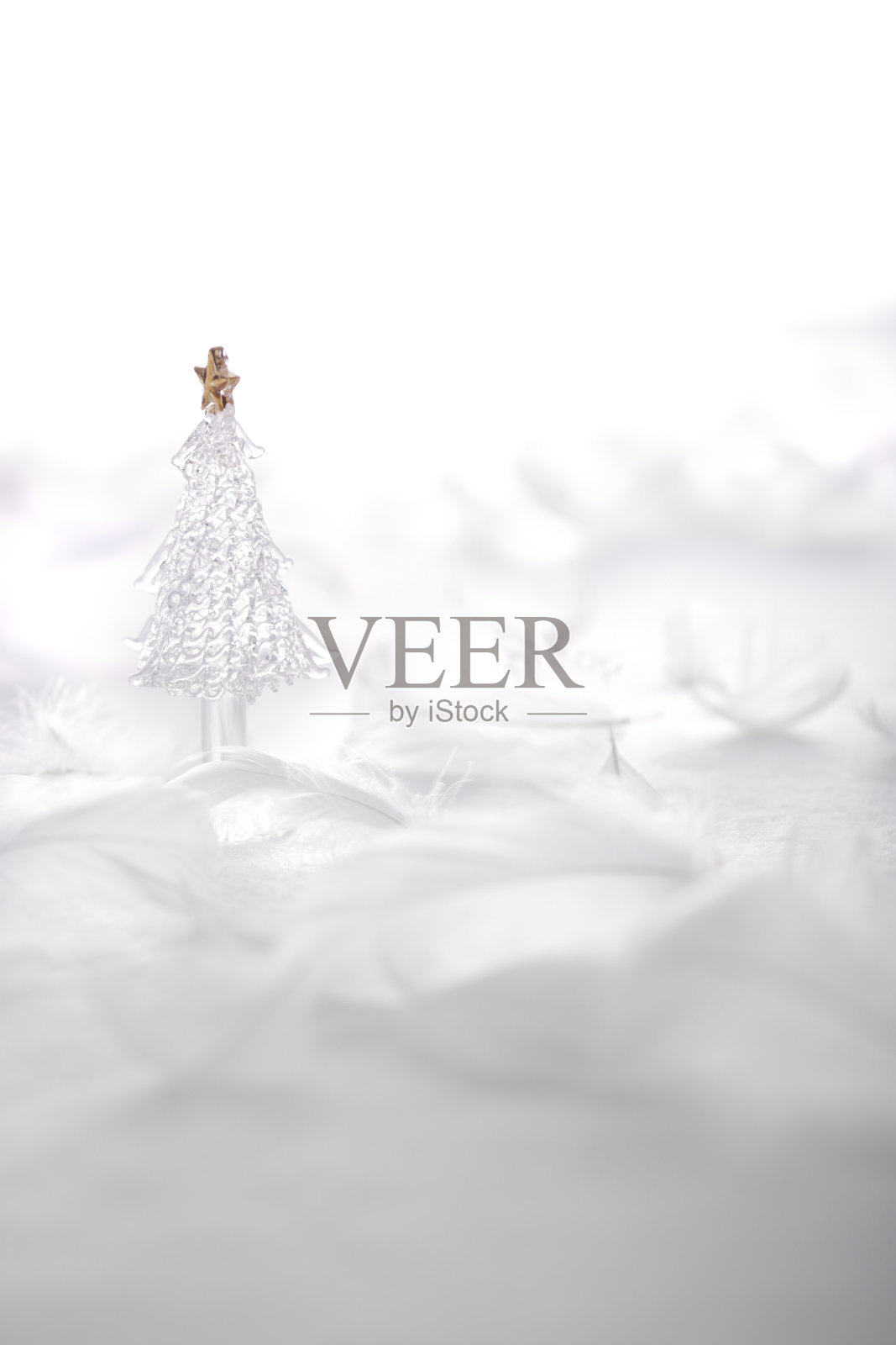 圣诞杂项在白色的背景的图像照片照片摄影图片