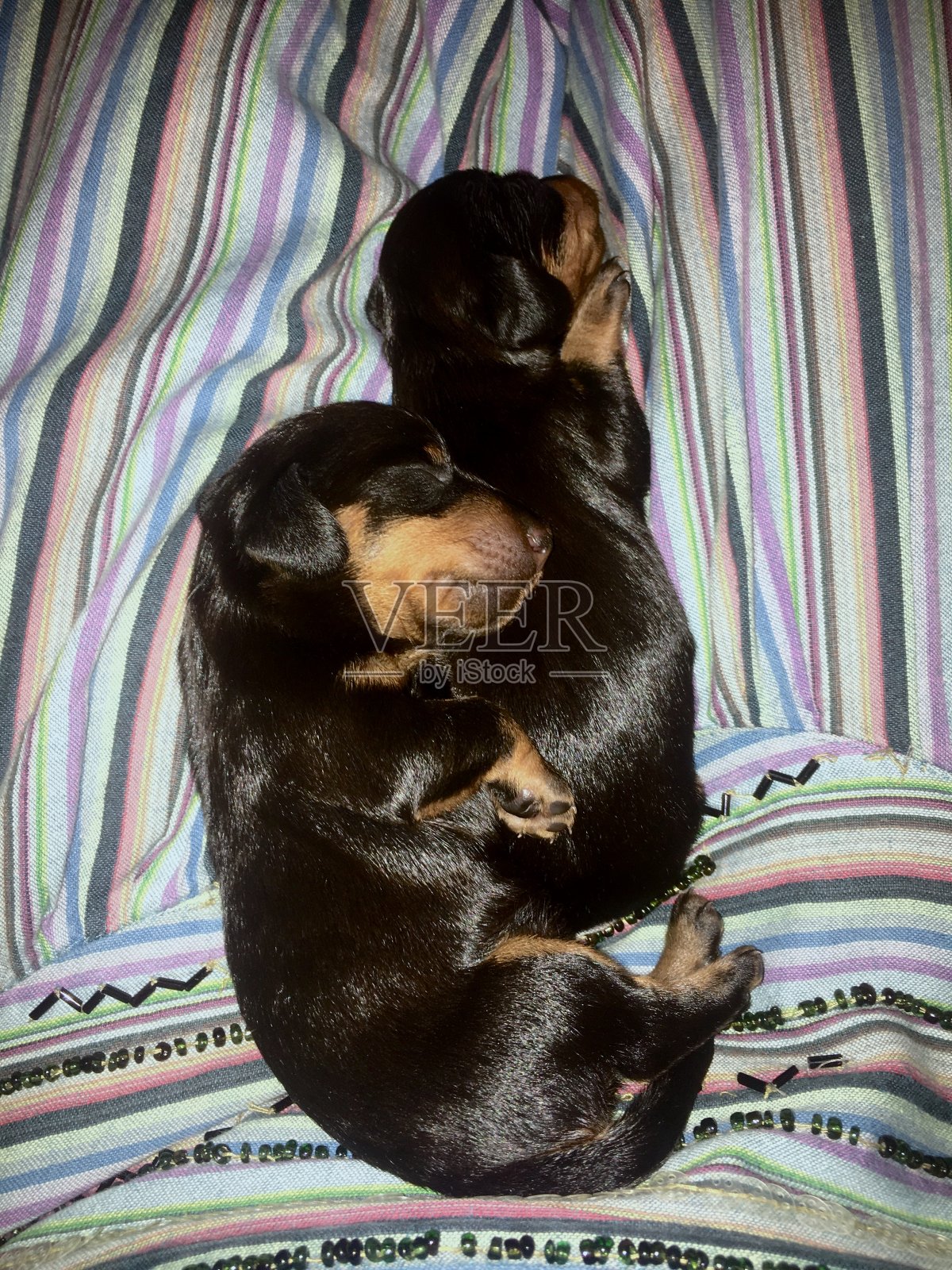 新生儿照片摄影图片