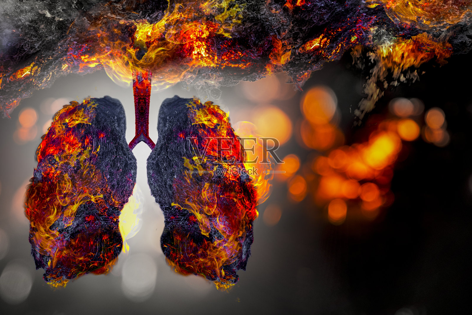 肺绿色树状图像、医学概念、解剖、三维显示和动物为一元素照片摄影图片