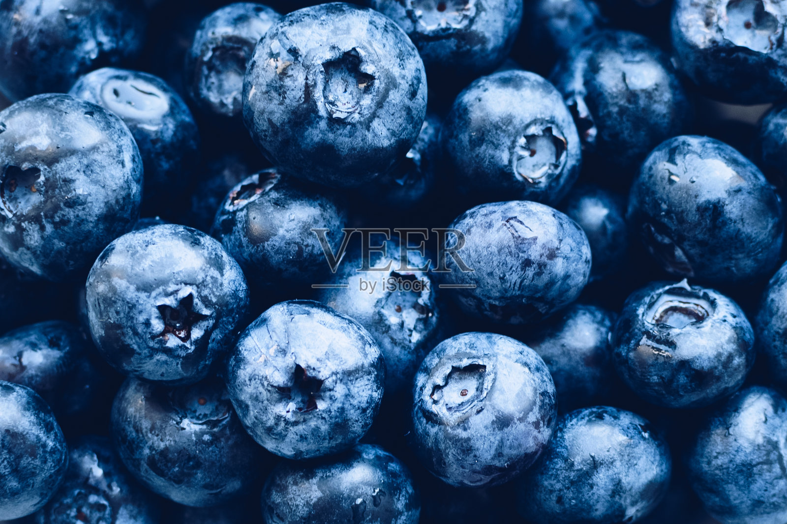 蓝莓抗氧化有机超级食品照片摄影图片
