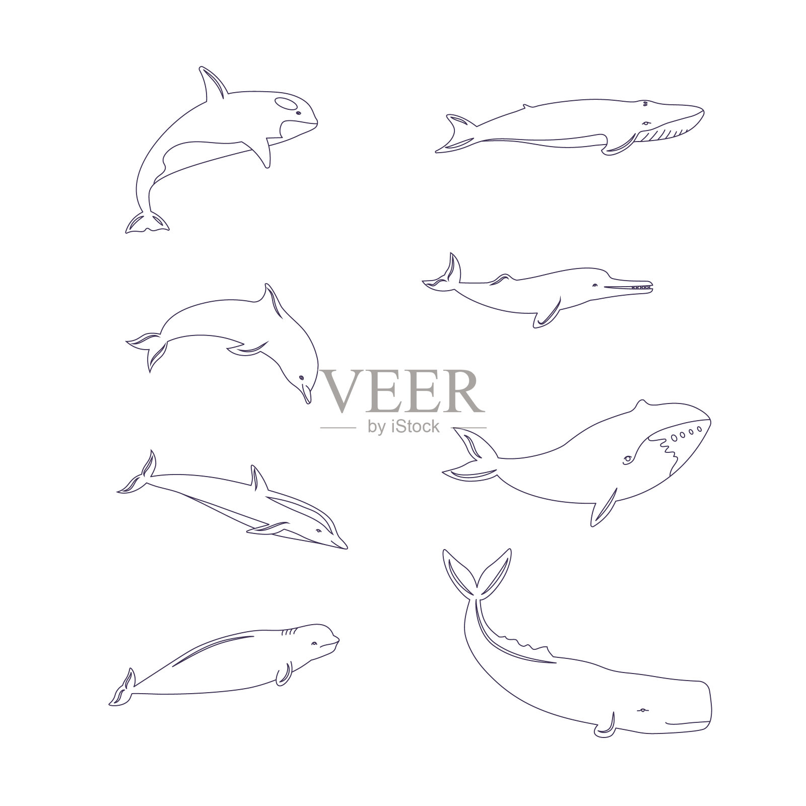 设置线条图标的鲸鱼，海豚。设计元素图片