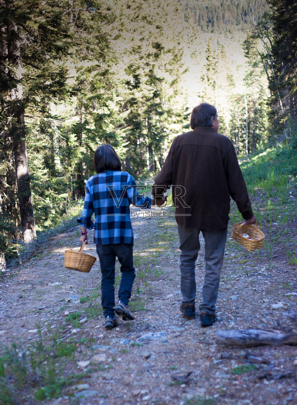 手持篮子的老年人在森林里狩猎蘑菇照片摄影图片
