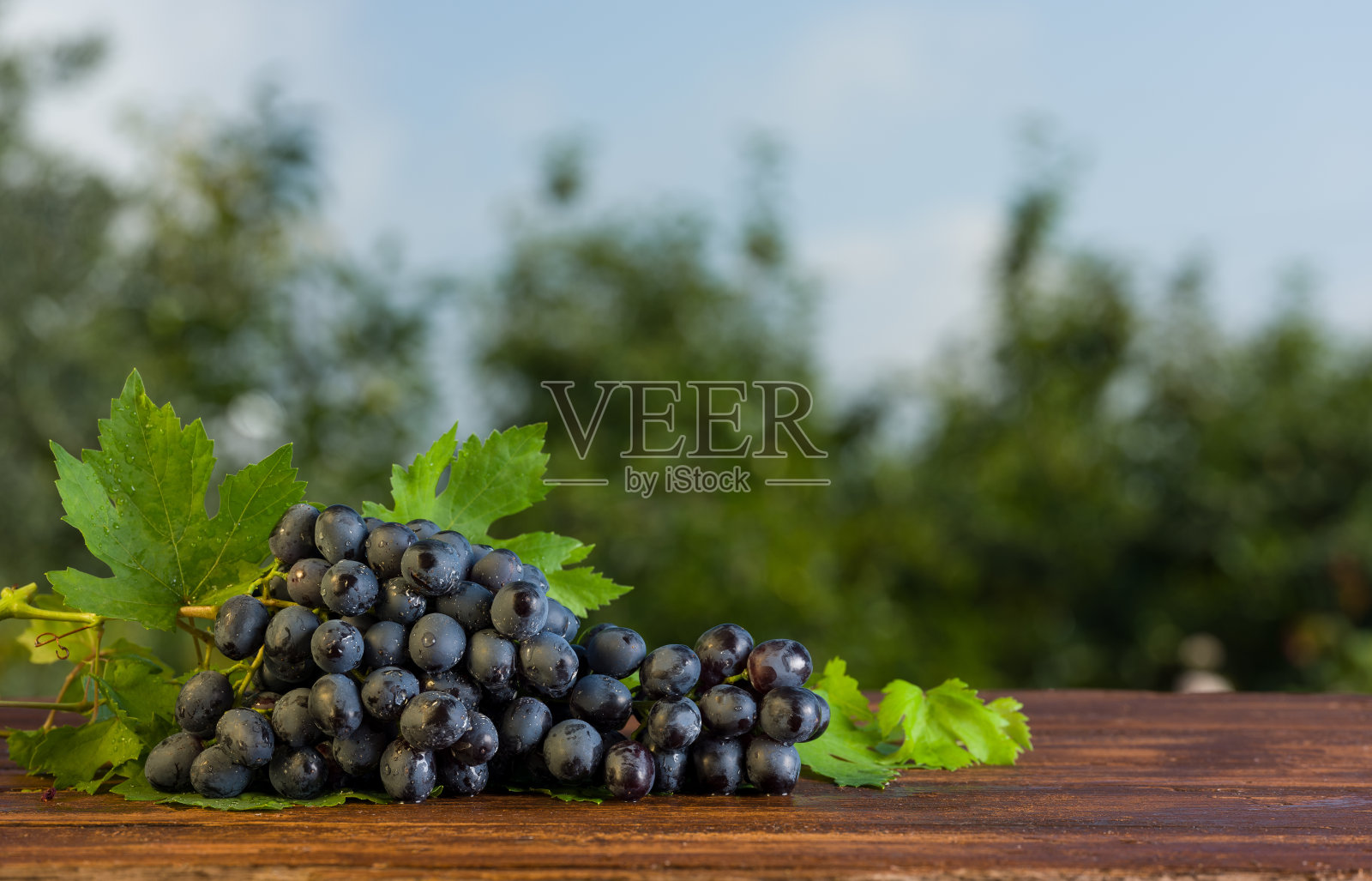 葡萄照片摄影图片