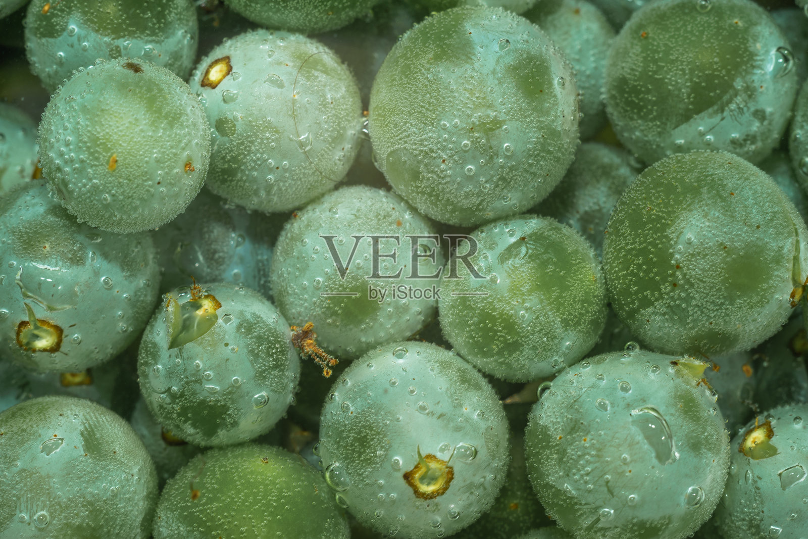 靠近新鲜的绿色葡萄颗粒在水的背景。宏观的观点。照片摄影图片