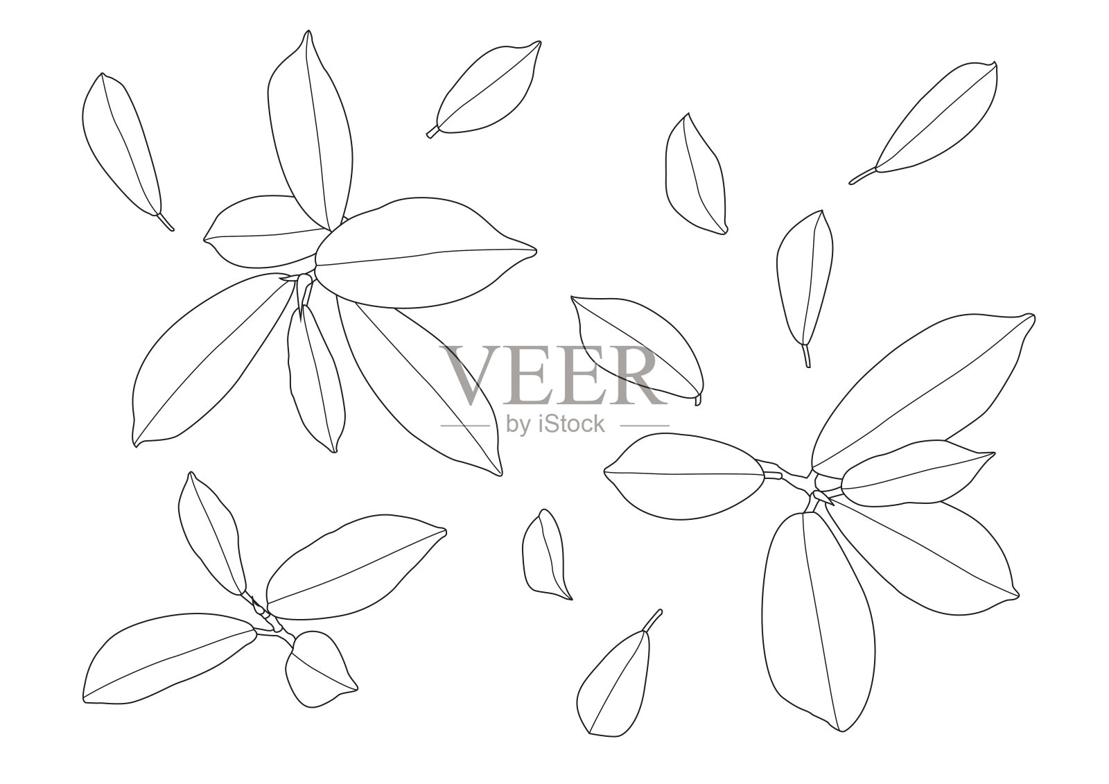 叶线单叶和叶图案黑色带彩色装饰在白色背景上的插图矢量插画图片素材