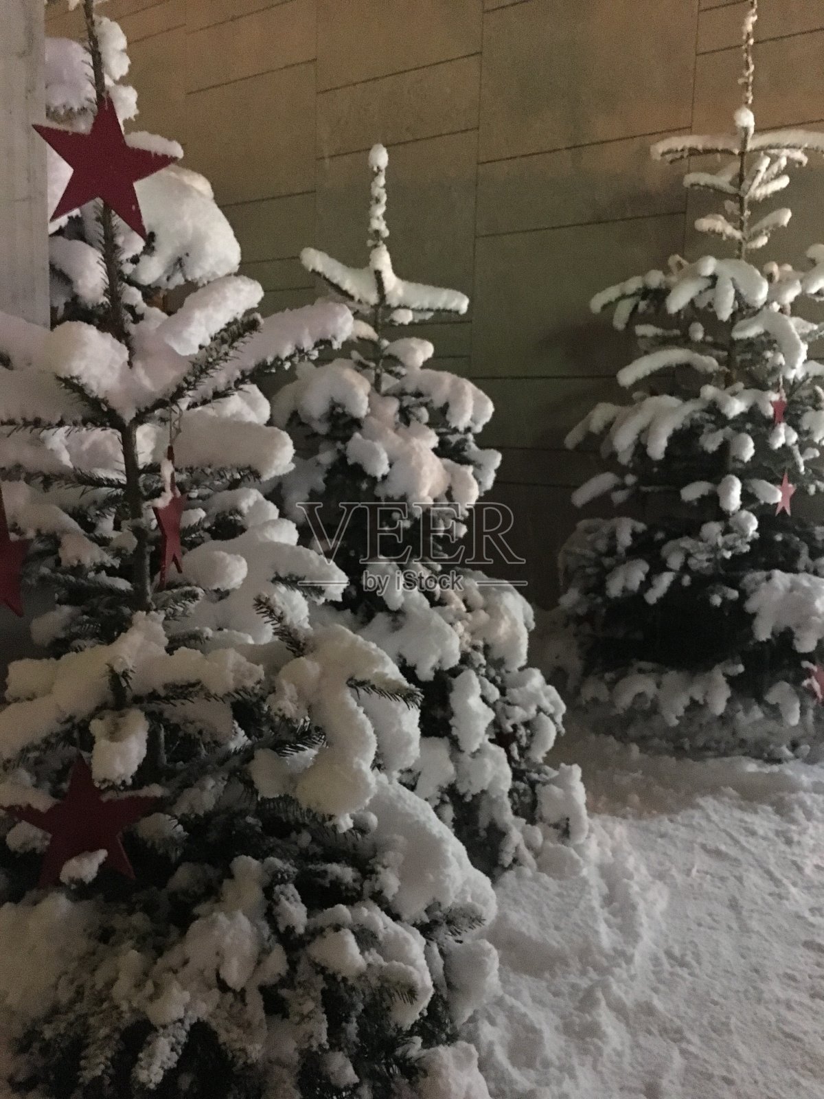 白雪覆盖的圣诞树照片摄影图片