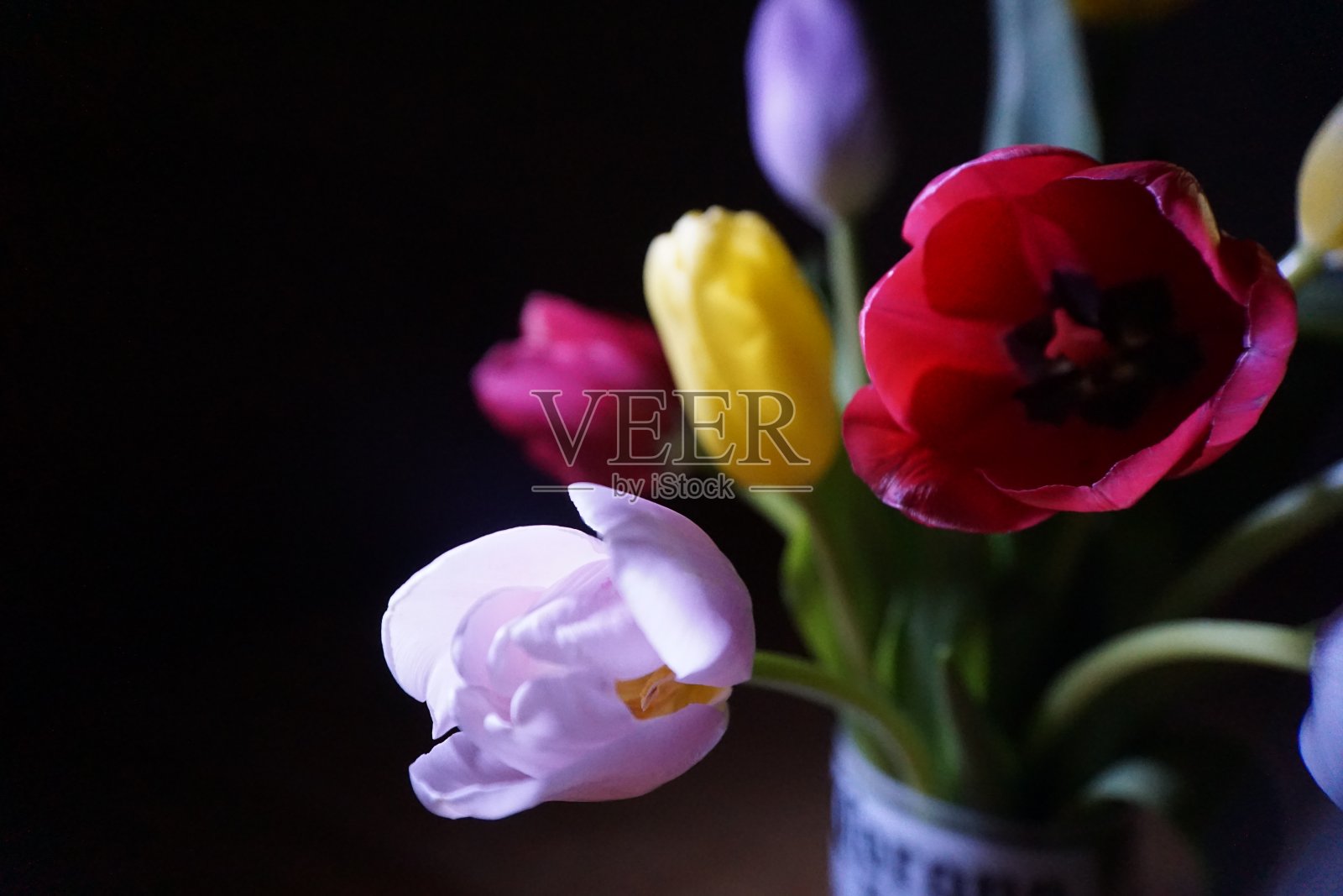 黑郁金香花束照片摄影图片