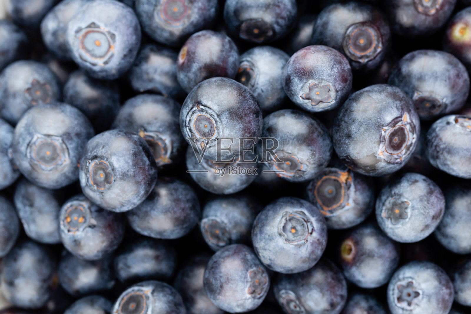 新鲜蓝莓背景。近距离观察蓝莓的质地。照片摄影图片