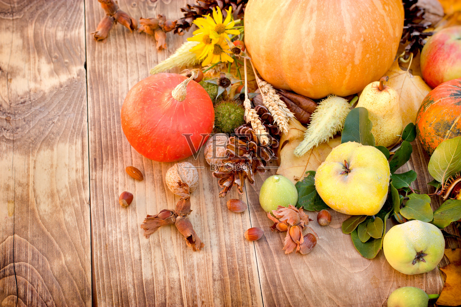 健康食品，健康饮食，有机季节性水果——感恩节照片摄影图片