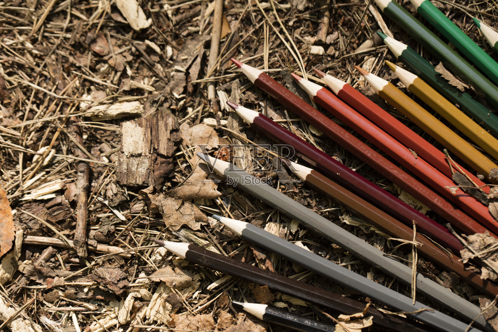 调色板，秋叶上的棕红绿铅笔照片摄影图片