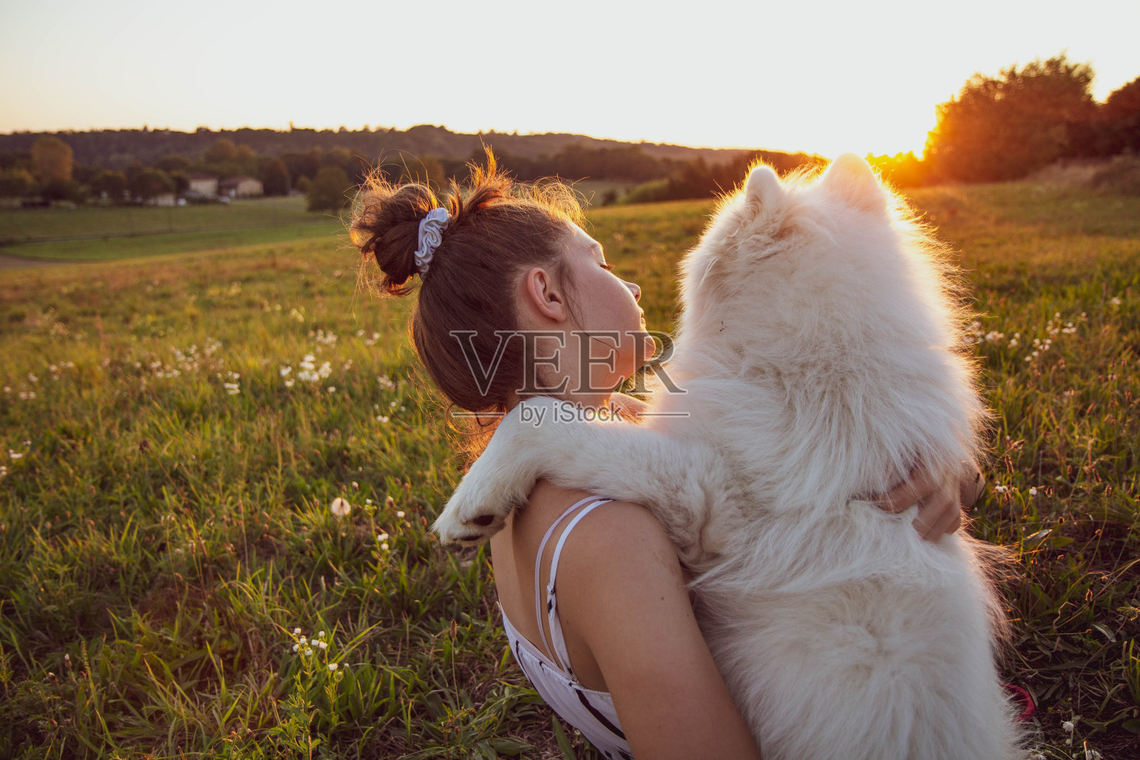 日落时分，一只狗和它的女主人之间的友谊时刻照片摄影图片