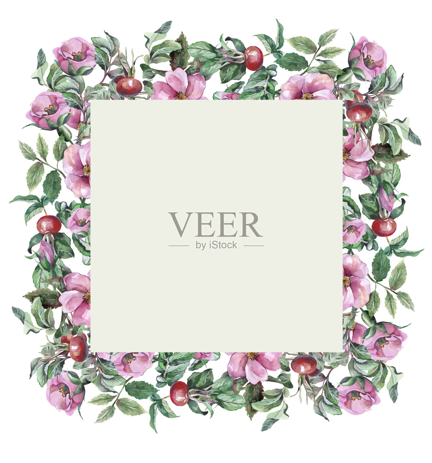 玫瑰Hip无缝图案。插画图片素材