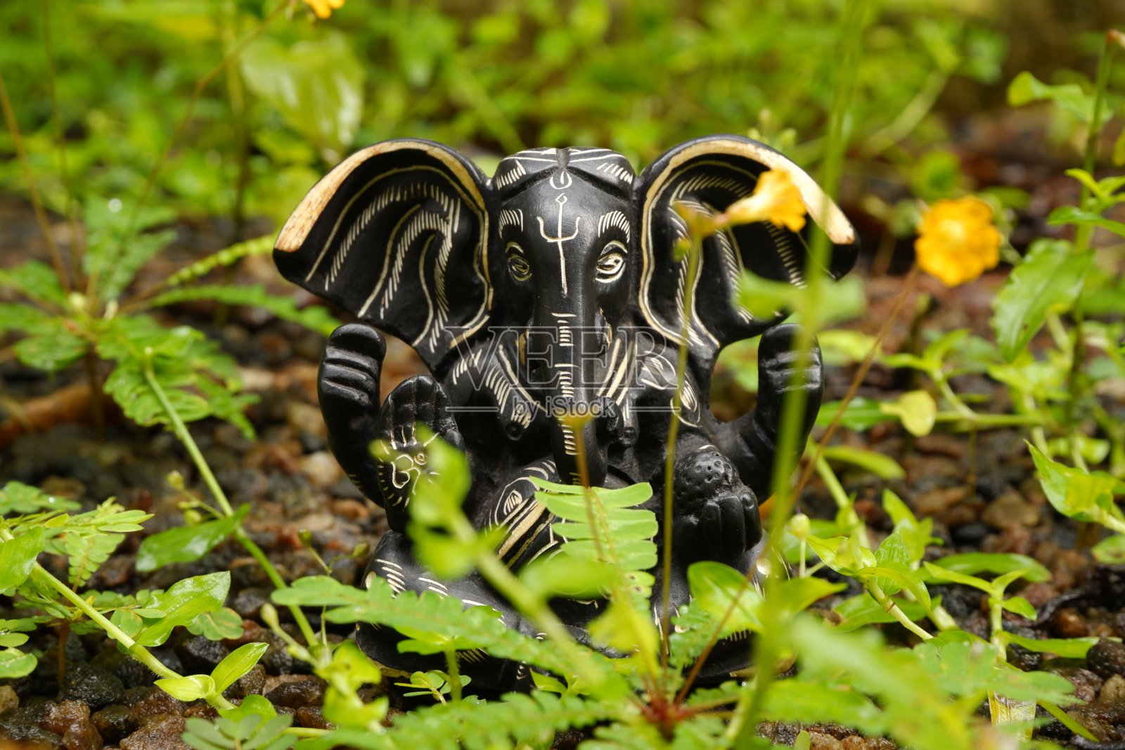 加内什·查图尔蒂照片摄影图片