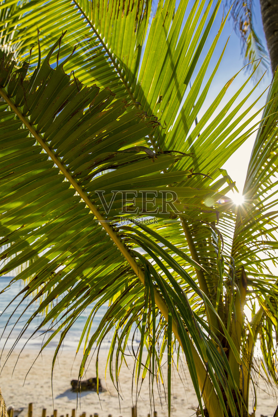 菲律宾，长滩岛，白色沙滩。照片摄影图片
