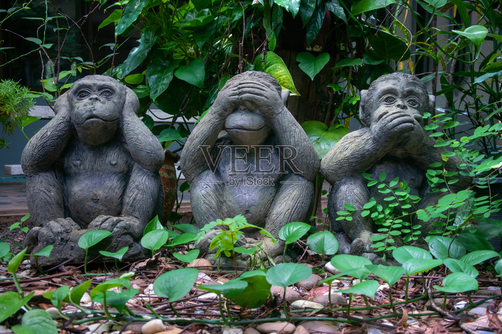 三个动作不同的猴子雕像照片摄影图片