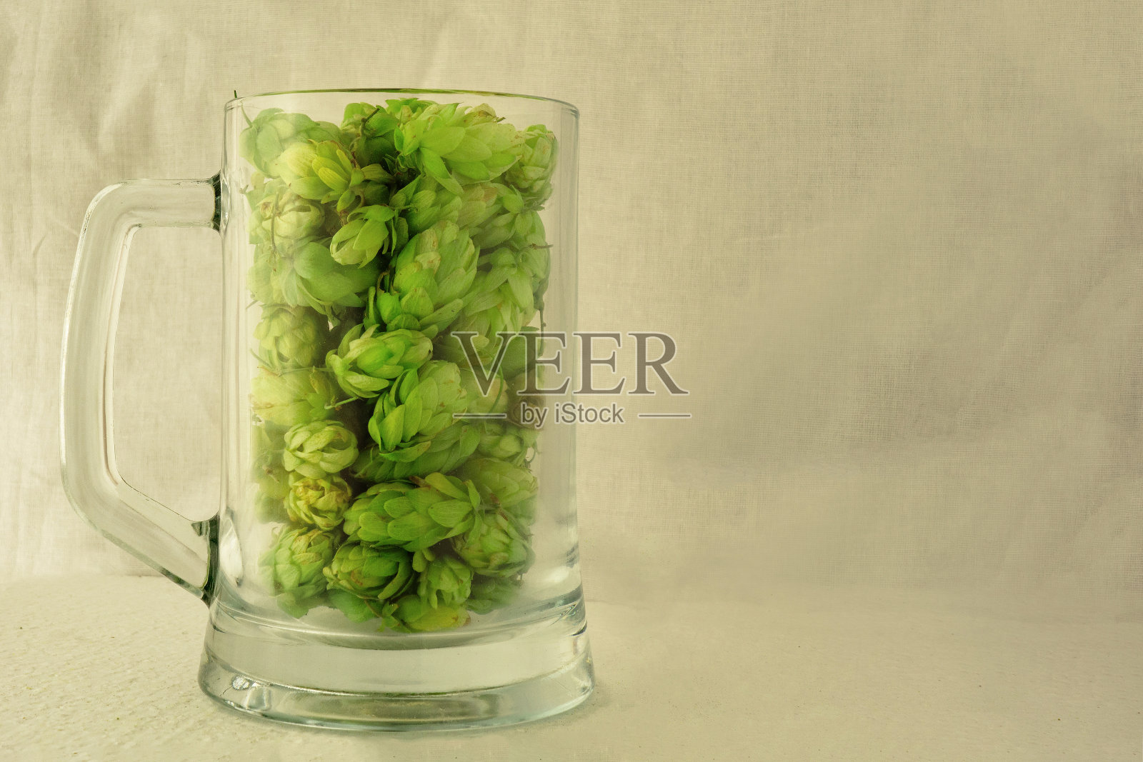 啤酒杯里装满了绿啤酒花。酿造工艺的概念。酿酒厂的传统工艺原料。侧视图与轻织物复制空间照片摄影图片