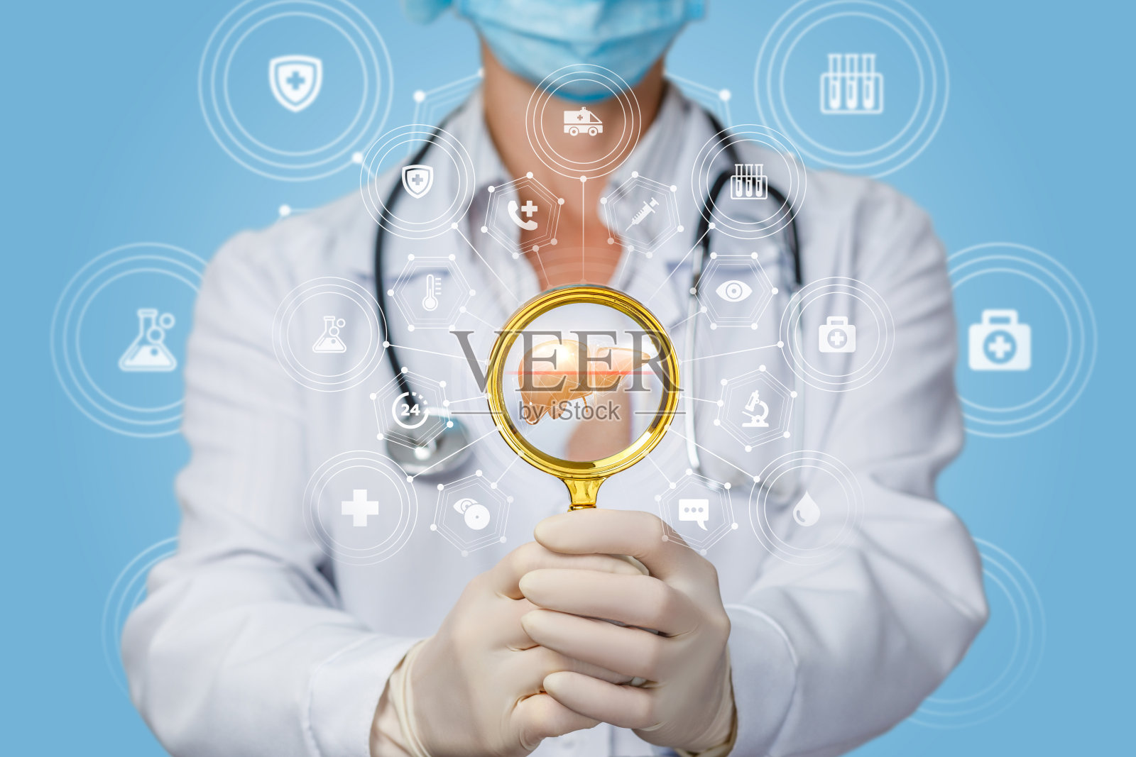 肝脏的概念研究与诊断。照片摄影图片