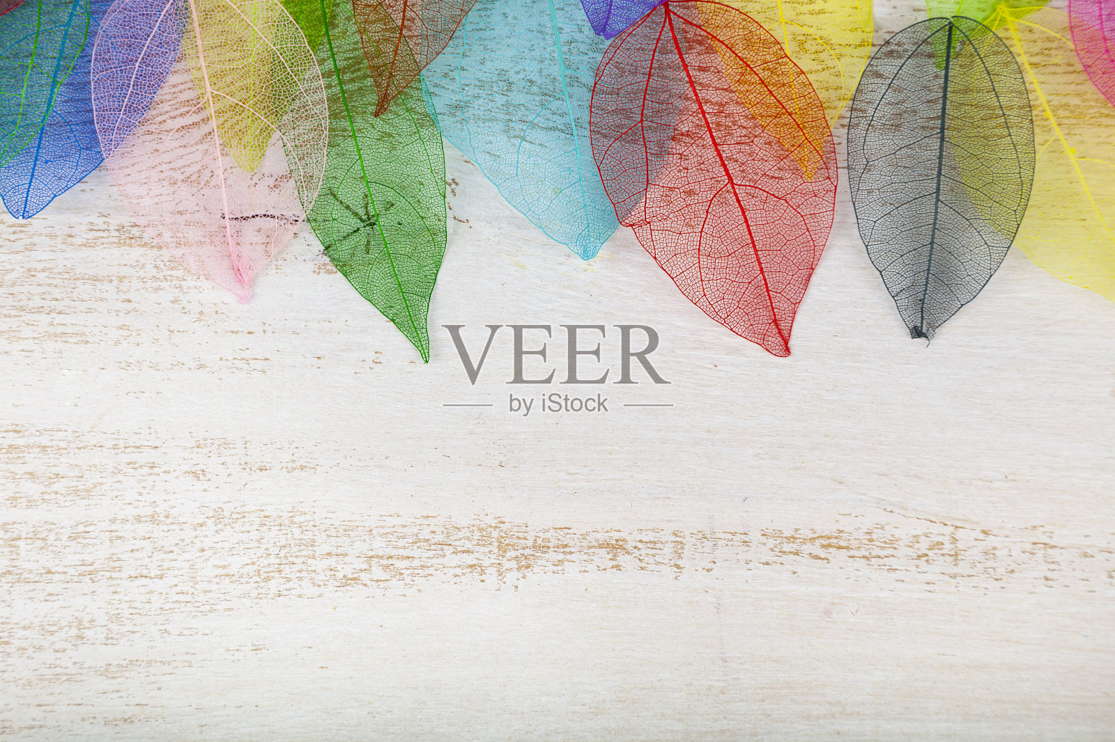 美丽的装饰与多彩的树叶照片摄影图片