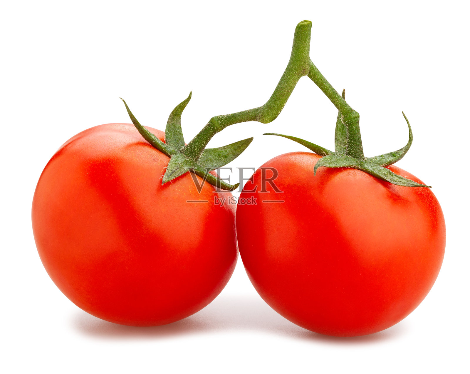 番茄分支照片摄影图片