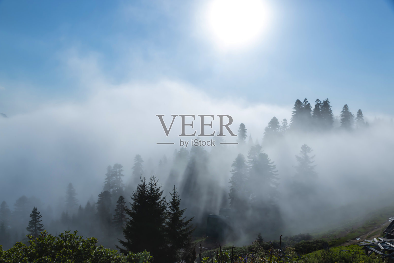 雾在树林间的山谷中飘动。乔治亚州照片摄影图片