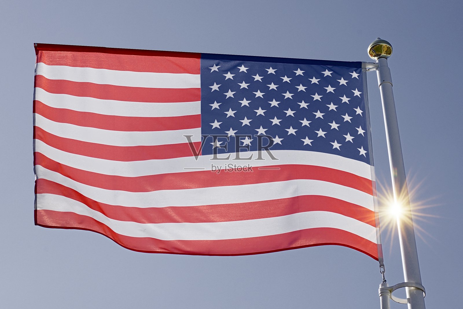 2020年新年树照片摄影图片