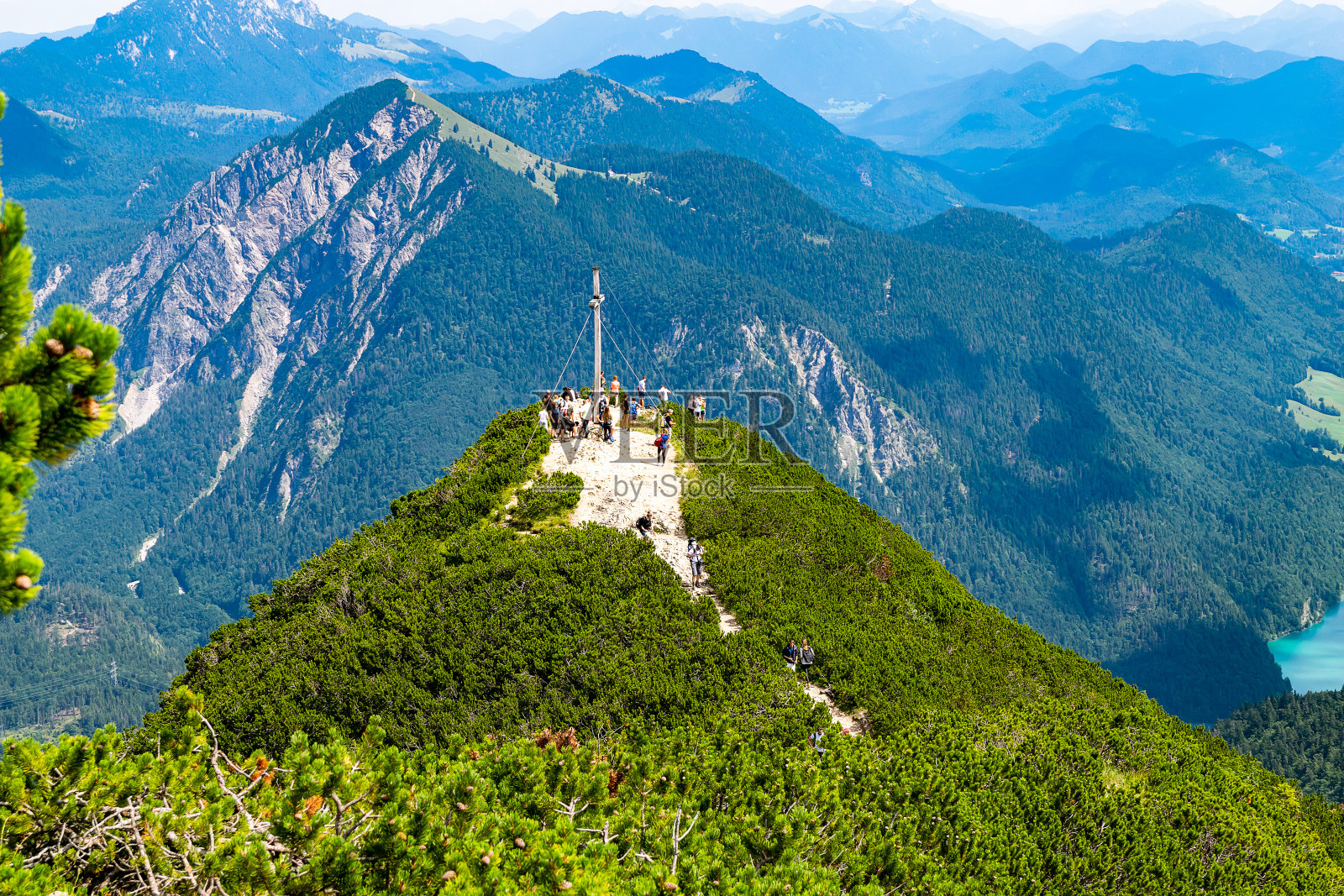 赫尔佐格看台上的人太多了。他是被照片摄影图片