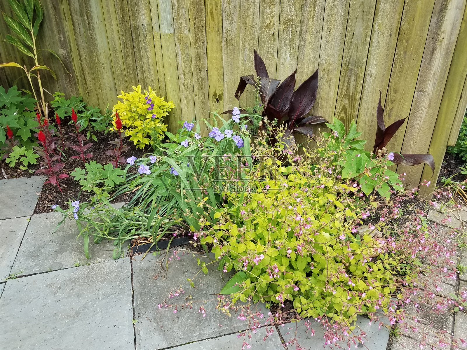 木栅栏，石瓦，彩色植物照片摄影图片