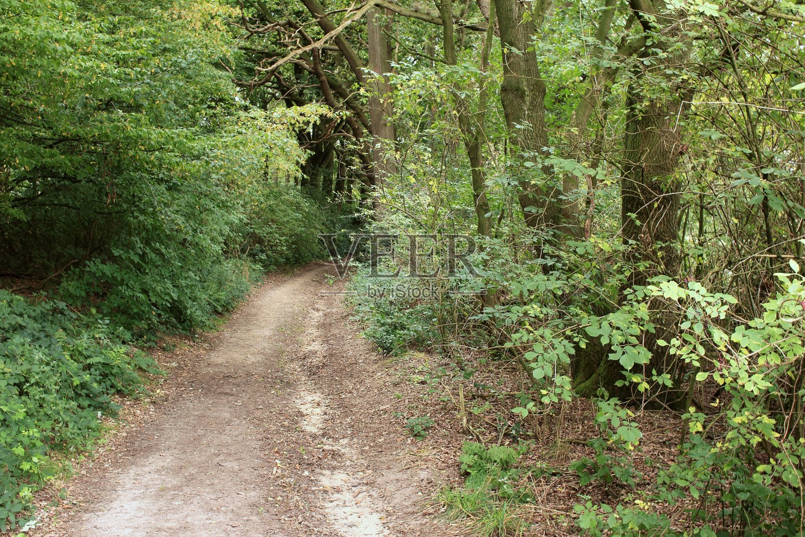 美丽的乡间小路照片摄影图片